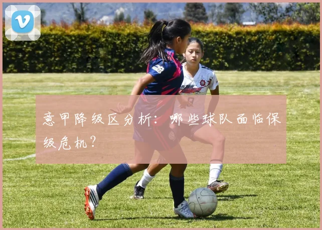 意甲降级区分析:哪些球队面临保级危机?